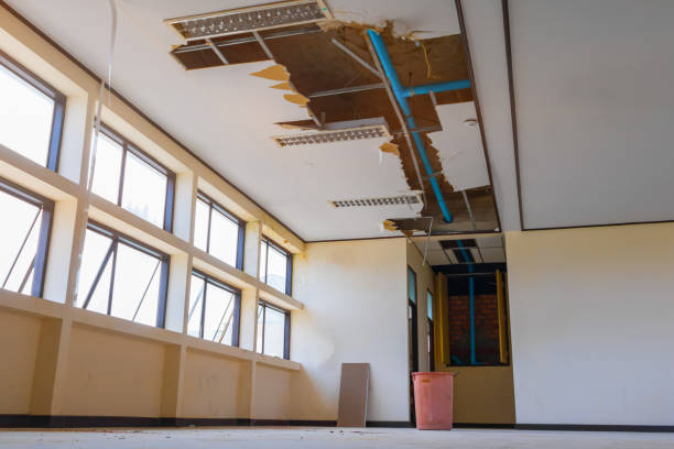 Best Mold removal after water damage  in Rexburg, ID