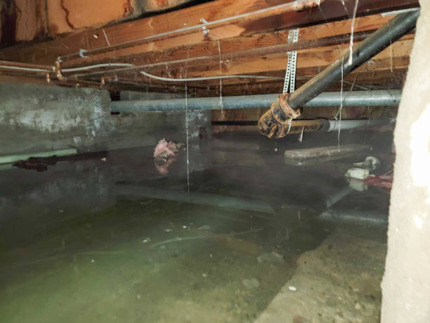 Best Water damage restoration near me  in Rexburg, ID