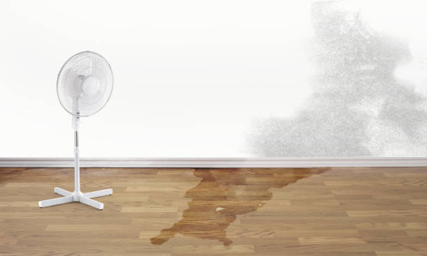 Best Water damage restoration company  in Rexburg, ID