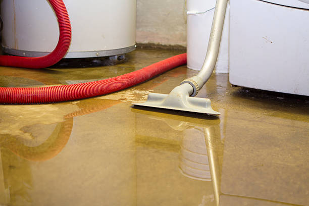 Best Flood restoration services  in Rexburg, ID