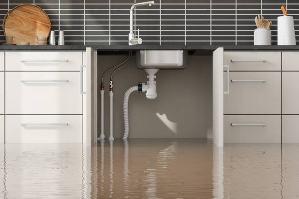 Best Commercial water damage restoration  in Rexburg, ID